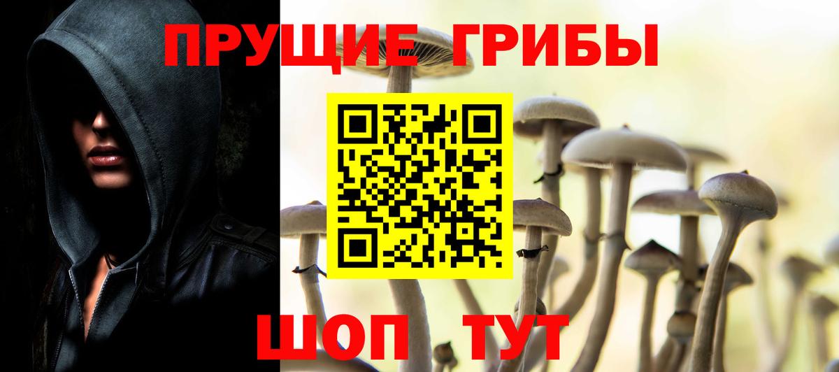 Мытищи  Псилоцибиновые грибы мухоморы  Псилоцибиновые грибы мицелий  Вход с VPN 